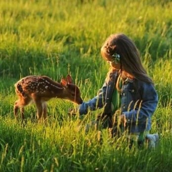 Two Hats Ranch - Make new friends at the "Spring Round Up"! - Bed & Breakfast Near Me - Big Rapids, Michigan