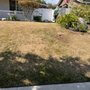 AAA Lawn Painting