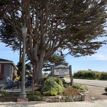 Sea Otter Inn - Hotels Near Me - Cambria, California Sea Otter Inn - Hotels Near Me - Cambria, California