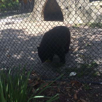 Naples Zoo - Zoos Near Me - Naples, Florida