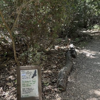Santa Barbara Botanic Garden - Take this trail in the tree canopy! You won't regret it! - Botanical Gardens Near Me - Santa Barbara, California Santa Barbara Botanic Garden - Take this trail in the tree canopy! You won't regret it! - Botanical Gardens Near Me - Santa Barbara, California