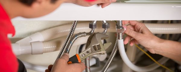 Dana Fleming Plumbing Logo