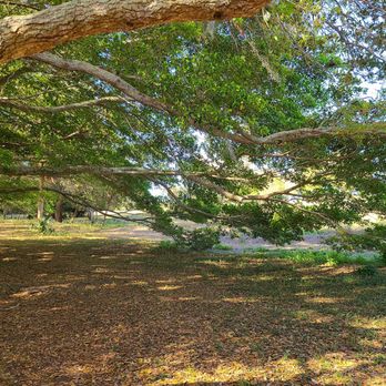 A. L. Anderson Park - Lots of trees - Parks Near Me - Tarpon Springs, Florida A. L. Anderson Park - Lots of trees - Parks Near Me - Tarpon Springs, Florida