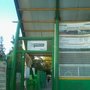Photo of Parque del Árbol