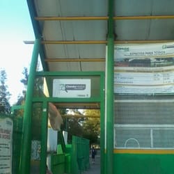Parque del Árbol