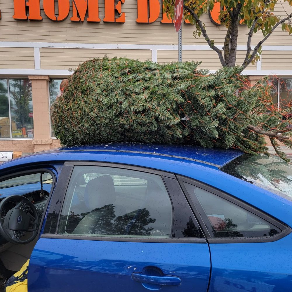 The Home Depot - Our damn tree. - Nurseries & Gardening Near Me - Morgan Hill, California The Home Depot - Our damn tree. - Nurseries & Gardening Near Me - Morgan Hill, California