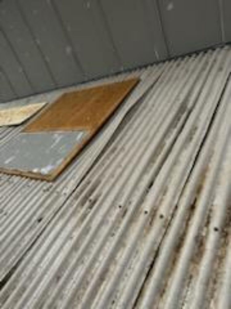 Slide of Reindeer Roofing