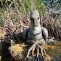 Photo of Flight of the Hippogriff