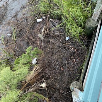 The Fish Dock - Trash from the restaurant enters the water.    Guarantee you there's nobody there that cares - Seafood Near Me - Townsend, Georgia