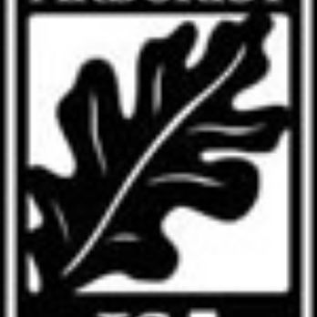 Happy Trees - We have multiple ISA certified arborists on staff. With a wealth a tree knowledge we will leave your tree happy. - Tree Services Near Me