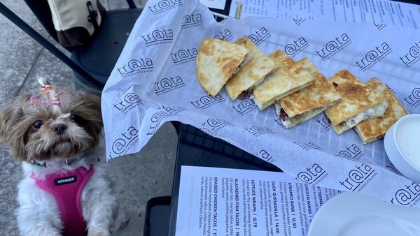 TRATA: The Restaurant At The Armory by null