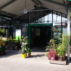 Blumen Berchtenbreiter - Eingang