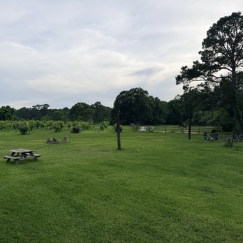DeepRoots Vineyards - Would be a great wedding venue - Music Venues Near Me - Plantersville, Texas