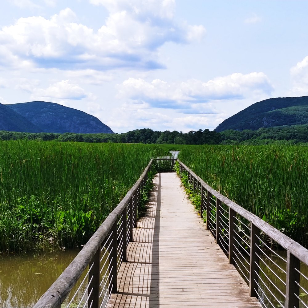 Constitution Marsh Audubon Center And Sanctuary - Parks Near Me - Garrison, New York Constitution Marsh Audubon Center And Sanctuary - Parks Near Me - Garrison, New York
