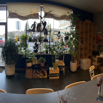 Party Bar - Party Market & Wine (and flora!) - Cocktail Bars Near Me - Eugene, Oregon