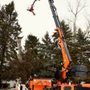 Photo of Cannon River Tree Care