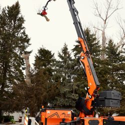 Cannon River Tree Care