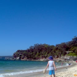 Shark Beach