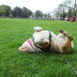 somebody enjoys it somebody enjoys it
