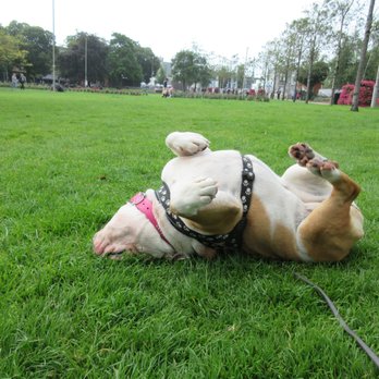 Eyre Square - somebody enjoys it - Parks Near Me - Galway, G Eyre Square - somebody enjoys it - Parks Near Me - Galway, G