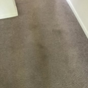 Saratoga Apartments - move in pics of carpet - Apartments Near Me - Twin Falls, Idaho Saratoga Apartments - move in pics of carpet - Apartments Near Me - Twin Falls, Idaho