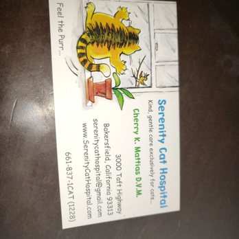Serenity Cat Hospital - Veterinarians Near Me - Bakersfield, California