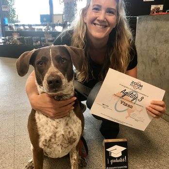 Zoom Room Dog Training - Pet Training Near Me - Huntington Beach, California Zoom Room Dog Training - Pet Training Near Me - Huntington Beach, California