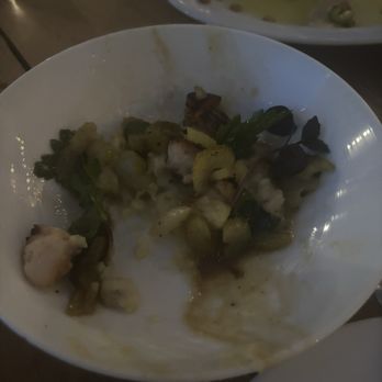 Pendolino - Octopus - Italian Near Me - Sandy Springs, Georgia