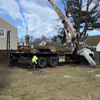 W Tree Service - Tree Services Near Me W Tree Service - Tree Services Near Me