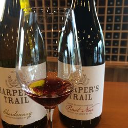 Harper's Trail - Tasting Pinot noir