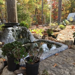 Eureka Springs KOA