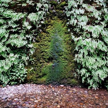 Prairie Creek Redwoods State Park - Area in the wall in Fern Canyon, where moss grows but where ferns do not grow. - - -Tom Brody - Parks Near Me - Orick, California Prairie Creek Redwoods State Park - Area in the wall in Fern Canyon, where moss grows but where ferns do not grow. - - -Tom Brody - Parks Near Me - Orick, California