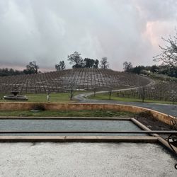 Morse Wines Il Gioiello Winery