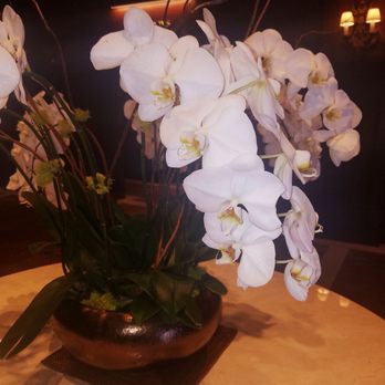 Schooners Monterey - Walking in... Couldn't believe these orchids were real... - Seafood Near Me - Monterey, California Schooners Monterey - Walking in... Couldn't believe these orchids were real... - Seafood Near Me - Monterey, California