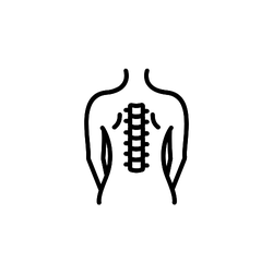 Lancaster Chiropractic
