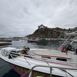 Catalina Xtreme Parasail