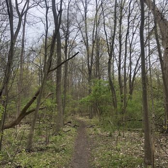 Eliza Howell Park - Parks Near Me - Detroit, Michigan Eliza Howell Park - Parks Near Me - Detroit, Michigan