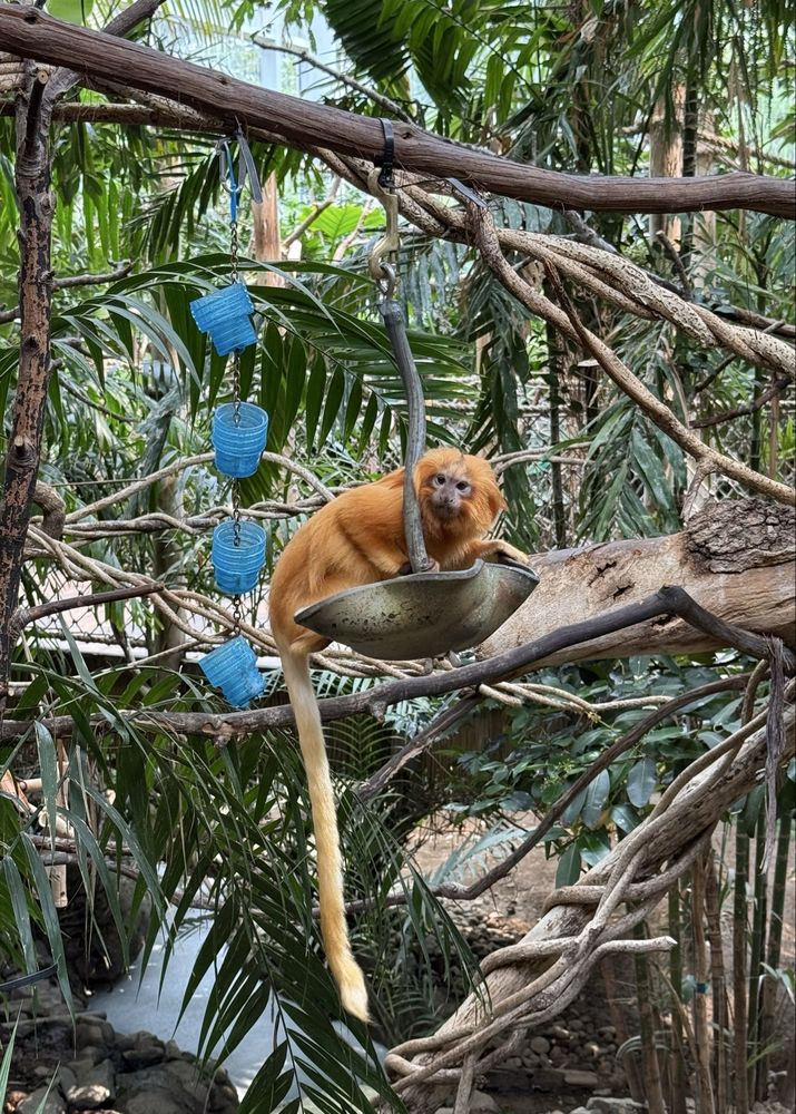 Roger Williams Park Zoo