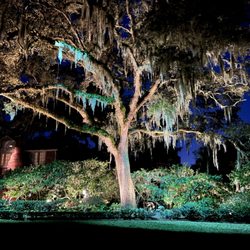 Lucarelli Outdoor Lighting