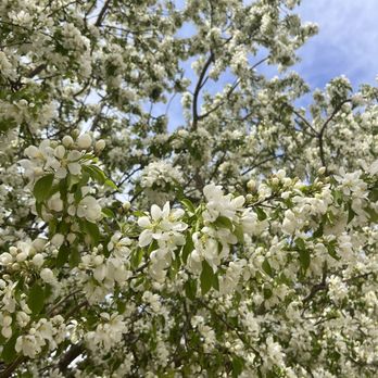Tiguex Park - Parks Near Me - Albuquerque, New Mexico