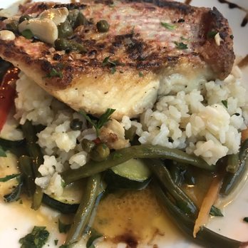 Cafe Gabbiano - Chef's Special Red Snapper - Italian Near Me - Sarasota, Florida Cafe Gabbiano - Chef's Special Red Snapper - Italian Near Me - Sarasota, Florida
