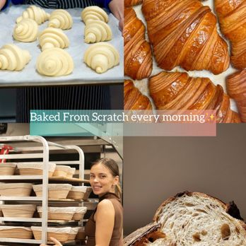 The Bakero - Bakeries Near Me - Sarasota, Florida The Bakero - Bakeries Near Me - Sarasota, Florida