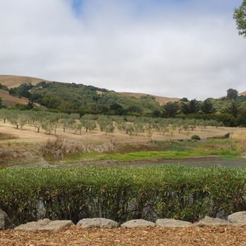 McEvoy Ranch - The pond. - Wine Tasting Room Near Me - Petaluma, California