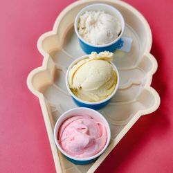 Howdy Homemade Ice Cream - The flight! From top to bottom, Pecan harvest, vanilla, and Strawberry milkshake
