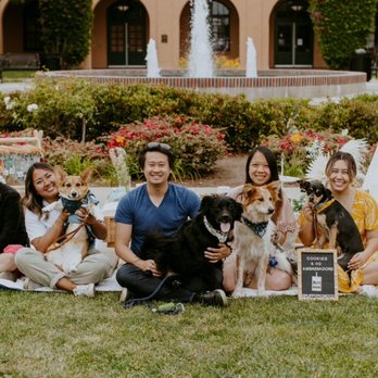 Puppy Picnic - Party & Event Planning Near Me - Encinitas, California Puppy Picnic - Party & Event Planning Near Me - Encinitas, California