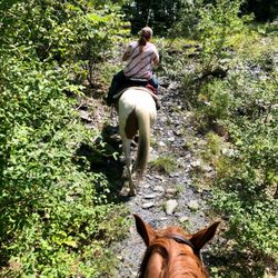 Whispering Springs Horse Farm