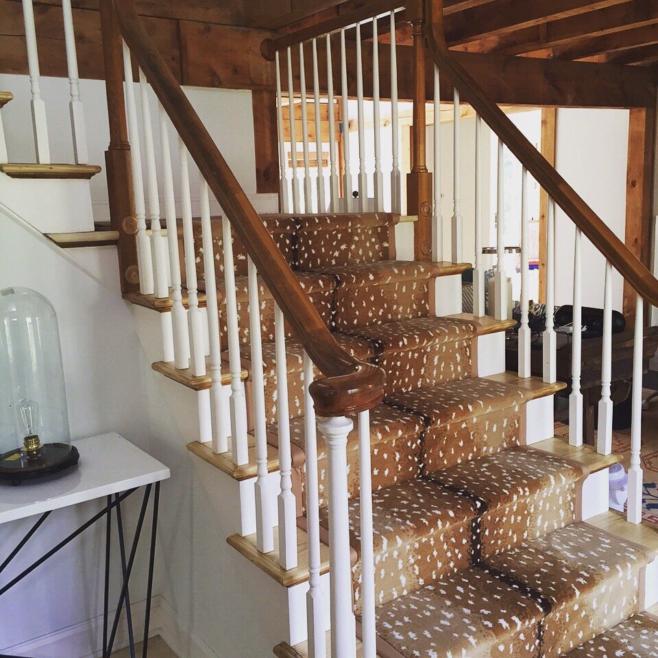 REDICUT CARPET & RUGS Updated October 2024 16 Photos & 11 Reviews 1620 Post Rd E