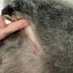 Cut by armpit