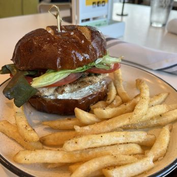 Dish Society - Grilled Pesto Chicken Sandwich with French Fries - New American Near Me - Katy, Texas