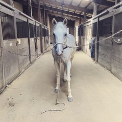 Wedgewood Riding Ctr